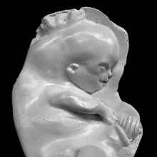 Leonid Sokhranski, Embryo, 2012