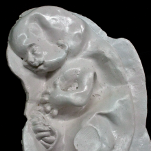 Leonid Sokhranski, Embryo, 2012